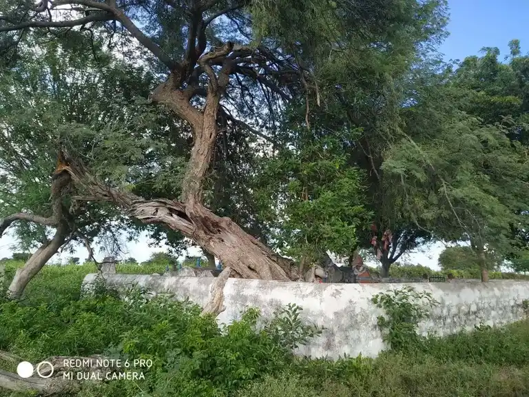 Arulmigu Nallan Vinayagar Temple, M.Kannanoor - 621713 Arulmigu Nallan vinayagar Temple, M.Kannanoor - 621713, Thiruchirappalli - Ancient Temple Architecture and History Image 3