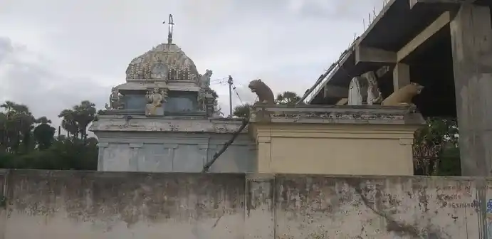 Arulmigu Nallaragava Perumal Temple, Seplanatham - 607802