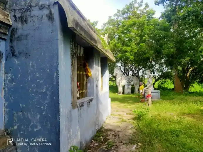 Arulmigu Nallasamy Pethandavar Temple, Kilavanniyur - 608301 அருள்மிகு நல்லசாமி பெத்தாண்டவர் திருக்கோயில், Kilavanniyur - 608301, Cuddalore - Ancient Temple Architecture and History Image 7