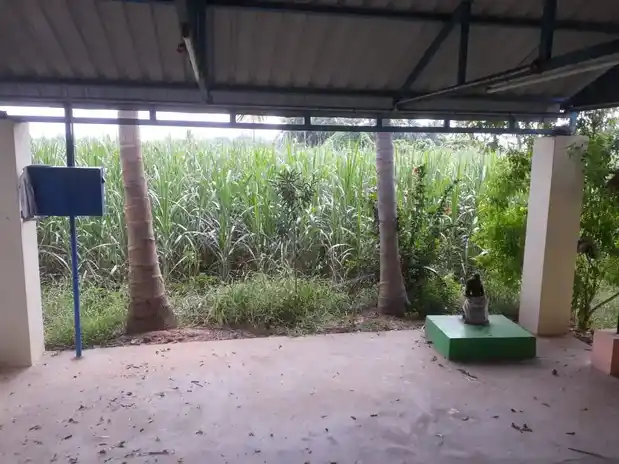 Arulmigu Nallasenagan Temple, Muttuvancheri - 621701 அருள்மிகு நல்லசேவகன் திருக்கோயில், முட்டுவாஞ்சேரி - 621701, Ariyalur - Ancient Temple Architecture and History Image 2