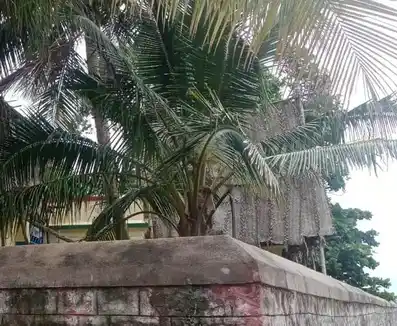 Arulmigu Nallathangal Temple, Kodikulam - 625514