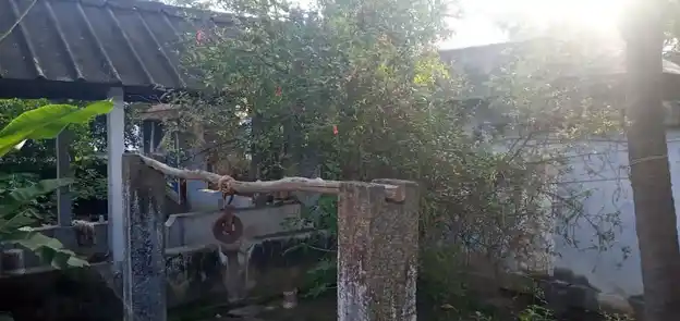 Arulmigu Nallavainayagar Temple, Near Pond, Azhagiapandiapuram - 629851 Arulmigu Nallavainayagar Temple, Near Pond, Azhagiapandiapuram - 629851, Kanyakumari - Ancient Temple Architecture and History Image 4