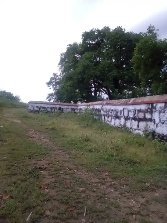 Arulmigu Nallendra Karuppanaswamy Temple, Trichy To Thuraiyur Road, Pulivalam - 621009 Temple