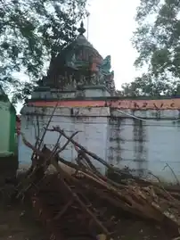 Arulmigu Nallurani Pillaiyar Temple, Ammankurichi - 622401 அருள்மிகு நல்லூரணிபிள்ளையார் திருக்கோயில், Ammankurichi - 622401, Pudukkottai - Ancient Temple Architecture and History Image 2
