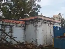 Arulmigu Nallurani Pillaiyar Temple, Ammankurichi - 622401 அருள்மிகு நல்லூரணிபிள்ளையார் திருக்கோயில், Ammankurichi - 622401, Pudukkottai - Ancient Temple Architecture and History Image 3