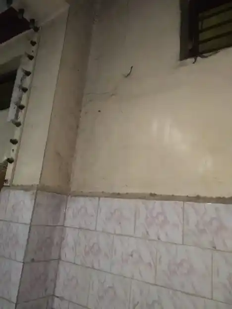 Arulmigu Nammazhvaar Bajanai Temple, Thottapalayam Vellore - 632004 அருள்மிகு நம்மாழ்வார் திருக்கோயில், தோட்டபாளையம் வேலூர் - 632004, Vellore - Ancient Temple Architecture and History Image 2