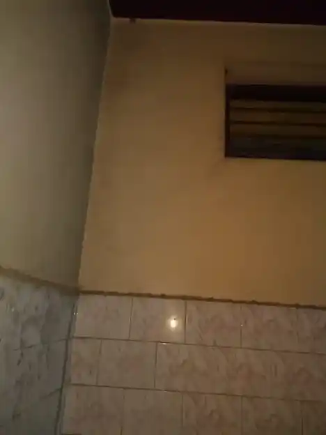 Arulmigu Nammazhvaar Bajanai Temple, Thottapalayam Vellore - 632004 அருள்மிகு நம்மாழ்வார் திருக்கோயில், தோட்டபாளையம் வேலூர் - 632004, Vellore - Ancient Temple Architecture and History Image 4