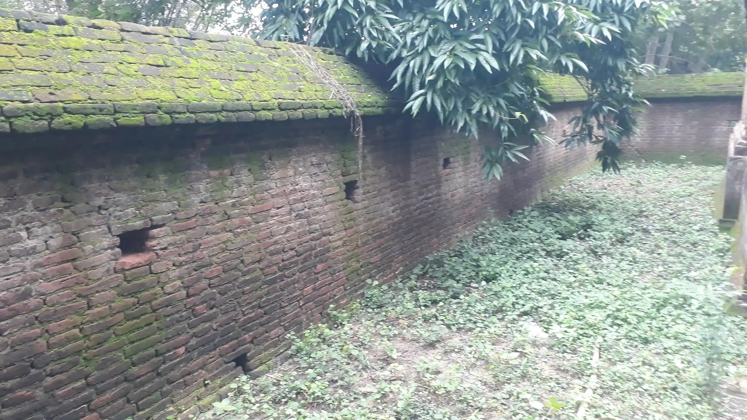 Arulmigu Nandhavana Pillaiyar Temple, Pudhuthurai - 609106 அருள்மிகு நந்தவனப்பிள்ளையார் திருக்கோயில், Sirkazhi - 609106, Mayiladuthurai - Ancient Temple Architecture and History Image 4