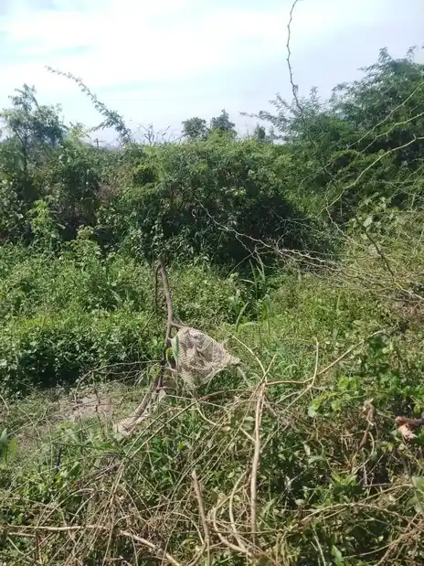 Arulmigu Nandhavana Vinayagar Temple, Anukkur - 621219 அருள்மிகு நந்தவனவிநாயகர் திருக்கோயில், Anukkur - 621219, Perambalur - Ancient Temple Architecture and History Image 3