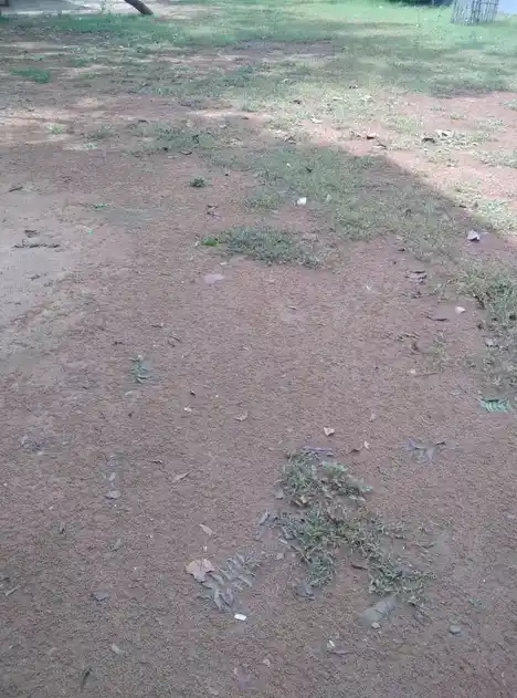 Arulmigu Nandhavanam Temple, Periyavalayam, Ariyalur - 621802 Temple