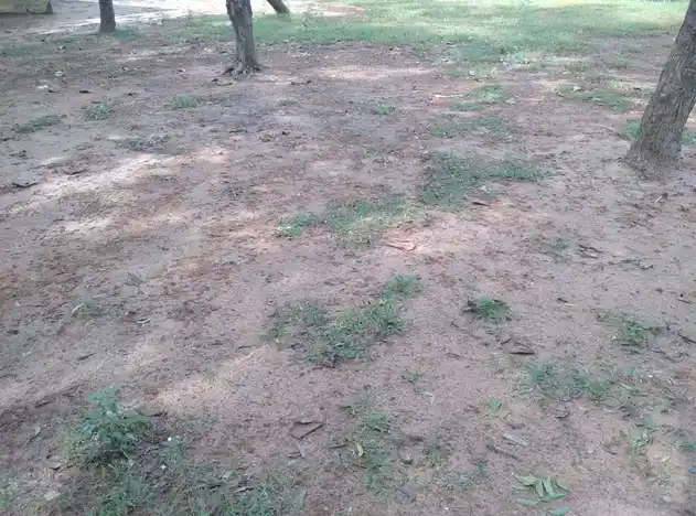 Arulmigu Nandhavanam Temple, Periyavalayam, Ariyalur - 621802 Arulmigu Nandhavanam Temple, Periyavalayam, Ariyalur - 621802, Ariyalur - Ancient Temple Architecture and History Image 5