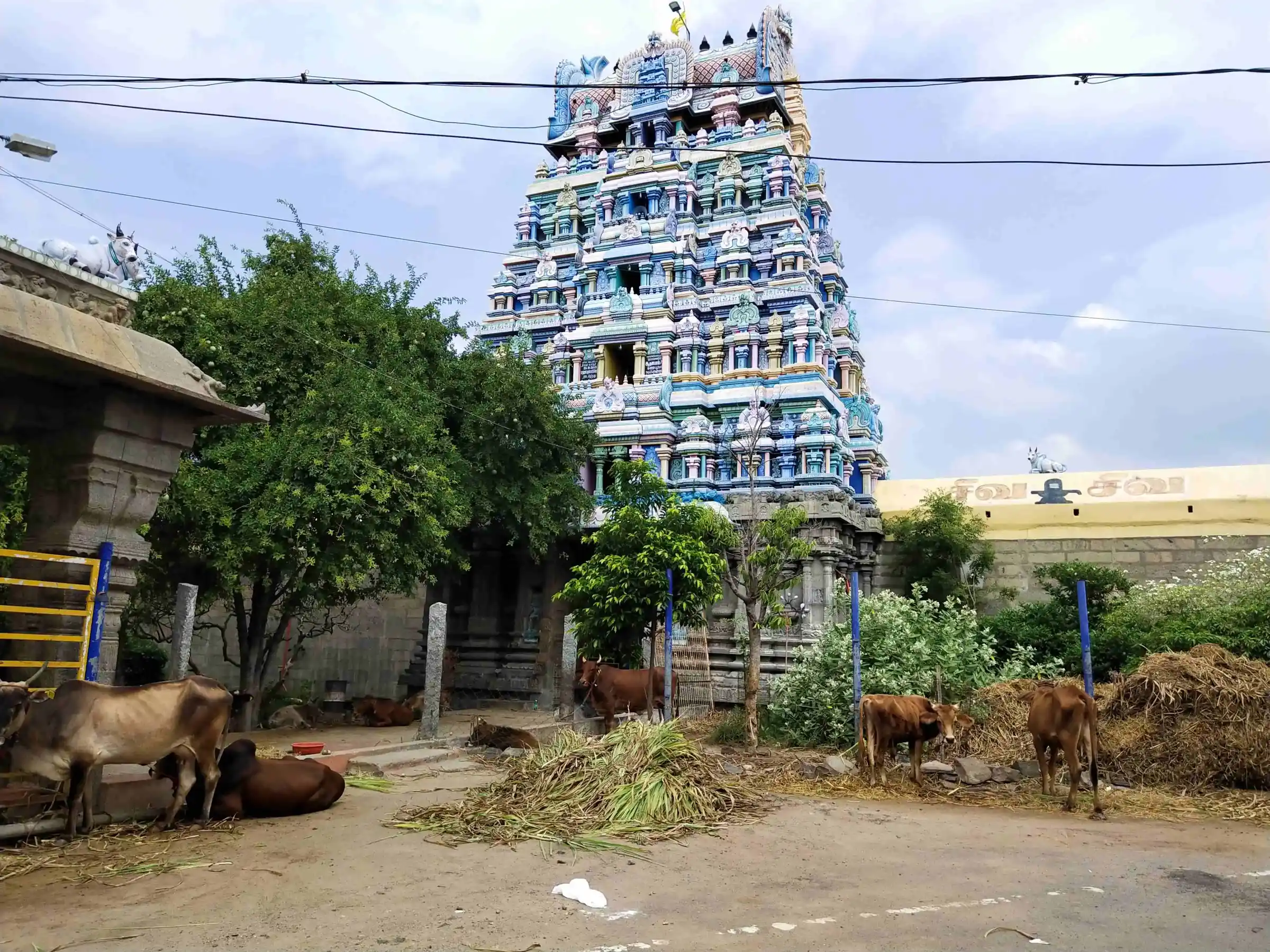 Arulmigu Nandhikaswarar Temple, Palakarai, Thuraiyur - 621010 Arulmigu Nandhikaswarar temple, Palakarai, Thuraiyur - 621010, Thiruchirappalli - Ancient Temple Architecture and History Image 3