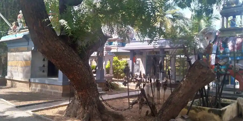 Arulmigu Nangaiyaramman Temple, Trichy Main Road, Manakkal - 621601 Arulmigu Nangaiyaramman Temple, Trichy Main Road, Manakkal - 621601, Thiruchirappalli - Ancient Temple Architecture and History Image 4