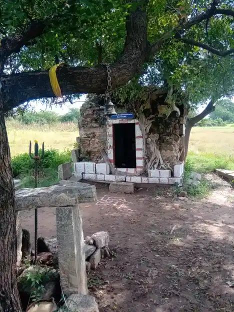 Arulmigu Nanjayamman Temple, Sar. Periyapalayam - 641607 அருள்மிகு நஞ்சாயம்மன் திருக்கோயில், Sar. Periyapalayam - 641607, Tiruppur - Ancient Temple Architecture and History Image 2