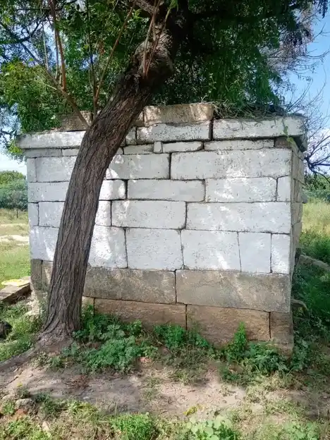 Arulmigu Nanjayamman Temple, Sar. Periyapalayam - 641607 அருள்மிகு நஞ்சாயம்மன் திருக்கோயில், Sar. Periyapalayam - 641607, Tiruppur - Ancient Temple Architecture and History Image 3