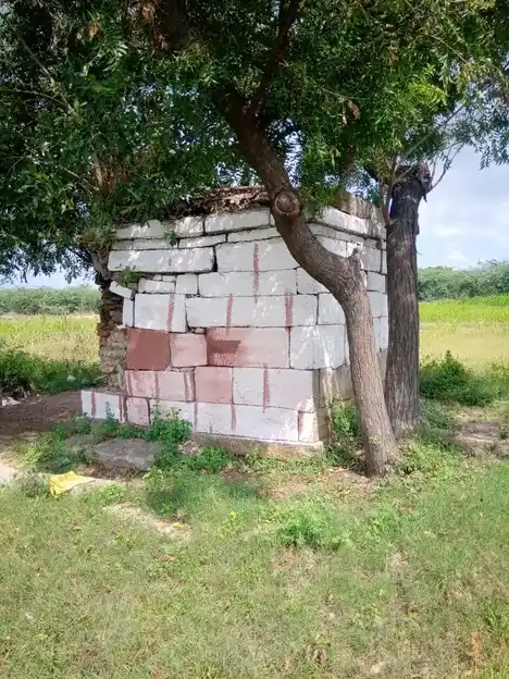 Arulmigu Nanjayamman Temple, Sar. Periyapalayam - 641607 அருள்மிகு நஞ்சாயம்மன் திருக்கோயில், Sar. Periyapalayam - 641607, Tiruppur - Ancient Temple Architecture and History Image 6