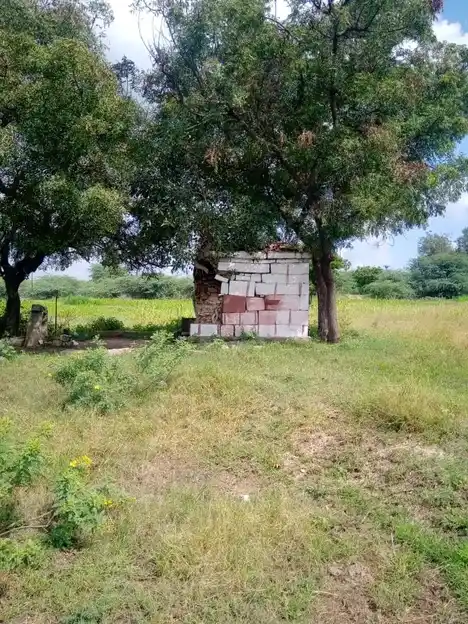 Arulmigu Nanjayamman Temple, Sar. Periyapalayam - 641607 அருள்மிகு நஞ்சாயம்மன் திருக்கோயில், Sar. Periyapalayam - 641607, Tiruppur - Ancient Temple Architecture and History Image 7