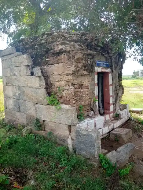 Arulmigu Nanjayamman Temple, Sar. Periyapalayam - 641607 அருள்மிகு நஞ்சாயம்மன் திருக்கோயில், Sar. Periyapalayam - 641607, Tiruppur - Ancient Temple Architecture and History Image 8