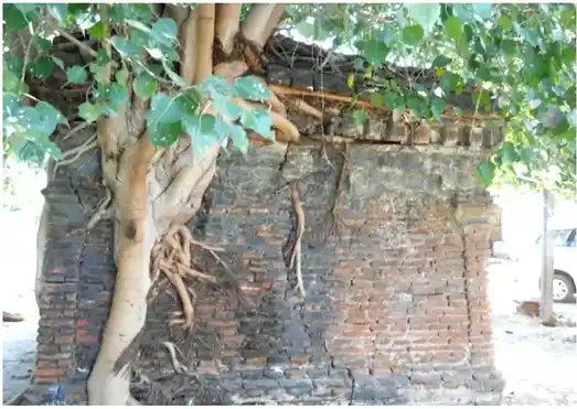 Arulmigu Nantheeshwara Temple, Thumbur - 606803 அருள்மிகு நந்தீஸ்வரர் திருக்கோயில், Thumbur - 606803, Tiruvannamalai - Ancient Temple Architecture and History Image 2