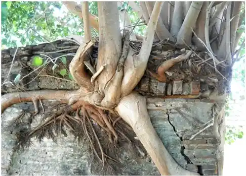 Arulmigu Nantheeshwara Temple, Thumbur - 606803 அருள்மிகு நந்தீஸ்வரர் திருக்கோயில், Thumbur - 606803, Tiruvannamalai - Ancient Temple Architecture and History Image 4