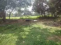 Arulmigu Narasimma Swami Temple, Mammundiyanpalli - 635852 அருள்மிகு நரசிம்மசுவாமி திருக்கோயில், மாமுண்டியான்பள்ளி - 635852, Thirupathur - Ancient Temple Architecture and History Image 4