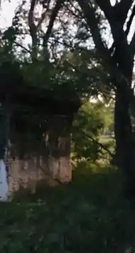 Arulmigu Narasimma Swamy Temple, Naikanahalli - 635202 அருள்மிகு நரசிம்மசாமி திருக்கோயில், Naikanahalli - 635202, Dharmapuri - Ancient Temple Architecture and History Image 4