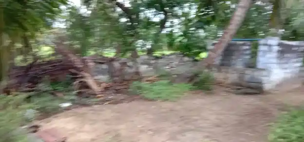 Arulmigu Narasimmaperumal Kambathrayasamy Temple, Kuthiyalathur - 638503 Temple