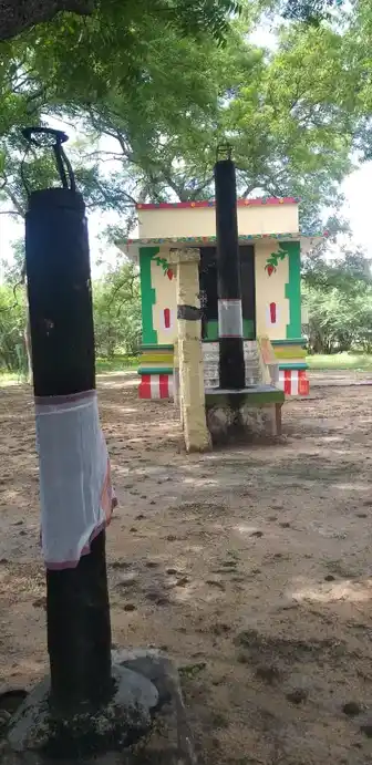 Arulmigu Narasinga Perumal Temple, Naduvakottai - 625706
