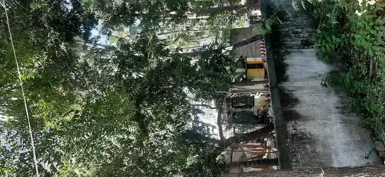 Arulmigu Narasingaperumal Temple, Mannadimangalam - 625207