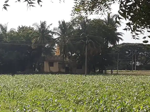 Arulmigu Narasingaperumal Temple, Sulur - 641402