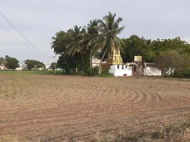 Arulmigu Narasingaperumal Temple, Sulur - 641402 அருள்மிகு நரசிங்கப்பெருமாள் திருக்கோயில், Sulur - 641402, Coimbatore - Ancient Temple Architecture and History Image 2