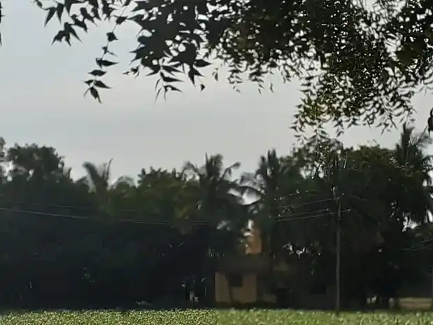 Arulmigu Narasingaperumal Temple, Sulur - 641402 அருள்மிகு நரசிங்கப்பெருமாள் திருக்கோயில், Sulur - 641402, Coimbatore - Ancient Temple Architecture and History Image 3