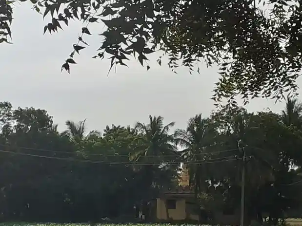 Arulmigu Narasingaperumal Temple, Sulur - 641402 அருள்மிகு நரசிங்கப்பெருமாள் திருக்கோயில், Sulur - 641402, Coimbatore - Ancient Temple Architecture and History Image 5