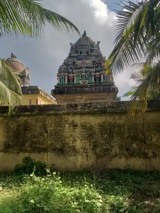 Arulmigu Narayanaperumal Temple, Nangur - 609106 அருள்மிகு நாராயணபெருமாள் திருக்கோயில், நாங்கூர் - 609106, Mayiladuthurai - Ancient Temple Architecture and History Image 4