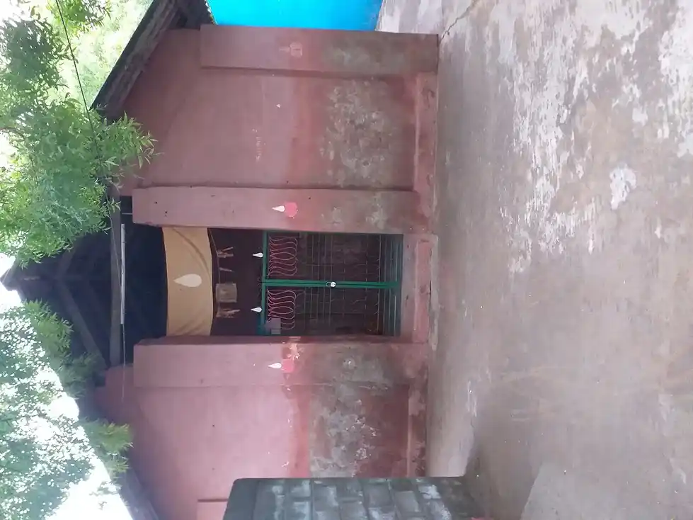 Arulmigu Narayanasamy Temple, Kulasekarapattanam - 628206