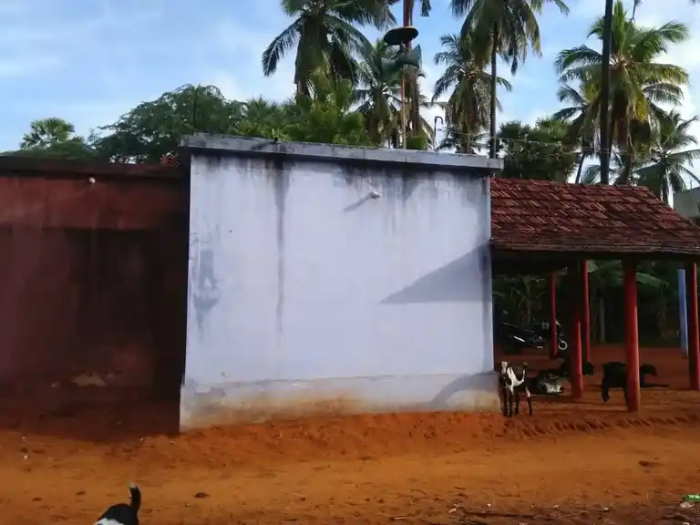 Arulmigu Narayanasamy Temple, Pudur, Gurunathapuram - 628219 அருள்மிகு நாராயணசாமி திருக்கோயில், Pudur, Gurunathapuram - 628219, Thoothukudi - Ancient Temple Architecture and History Image 2