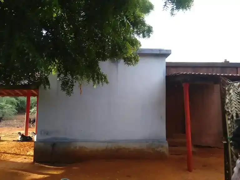 Arulmigu Narayanasamy Temple, Pudur, Gurunathapuram - 628219 அருள்மிகு நாராயணசாமி திருக்கோயில், Pudur, Gurunathapuram - 628219, Thoothukudi - Ancient Temple Architecture and History Image 3