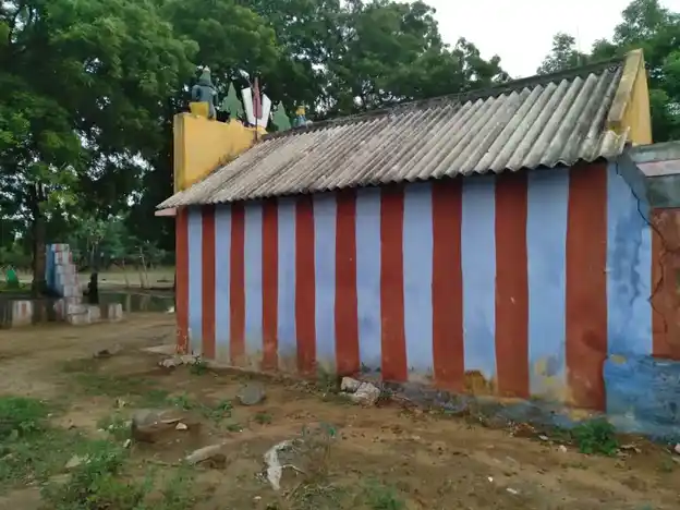 Arulmigu Narayanasamy Temple, Srivaikundam - 628601 அருள்மிகு நாராயணசாமி திருக்கோயில், Srivaikundam - 628601, Thoothukudi - Ancient Temple Architecture and History Image 2