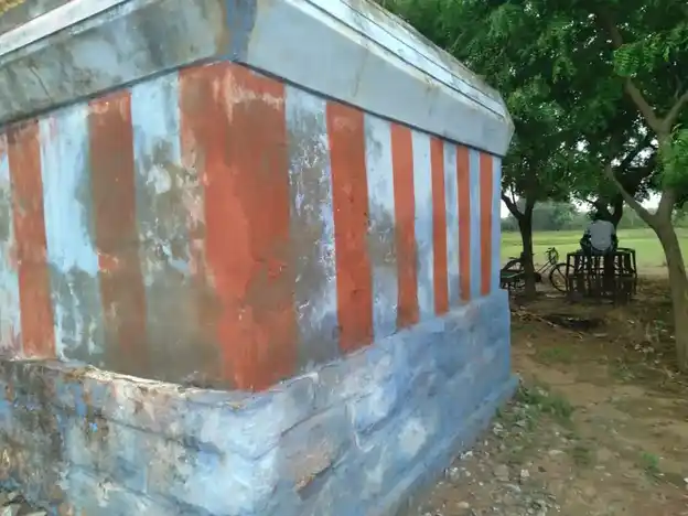 Arulmigu Narayanasamy Temple, Srivaikundam - 628601 அருள்மிகு நாராயணசாமி திருக்கோயில், Srivaikundam - 628601, Thoothukudi - Ancient Temple Architecture and History Image 3