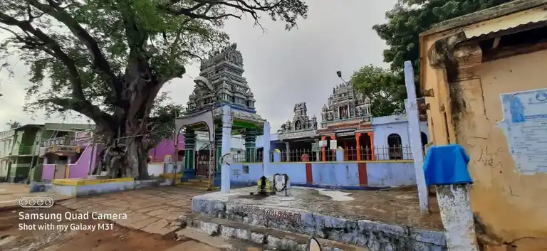 Arulmigu Narayanasamy Temple, Village North Side, Adayarkarungkulam - 627425