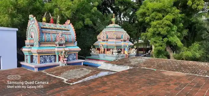 Arulmigu Narayanasamy Temple, Village North Side, Adayarkarungkulam - 627425 அருள்மிகு நாராயண சுவாமி திருக்கோயில், Adayarkarungkulam - 627425, Tirunelveli - Ancient Temple Architecture and History Image 3
