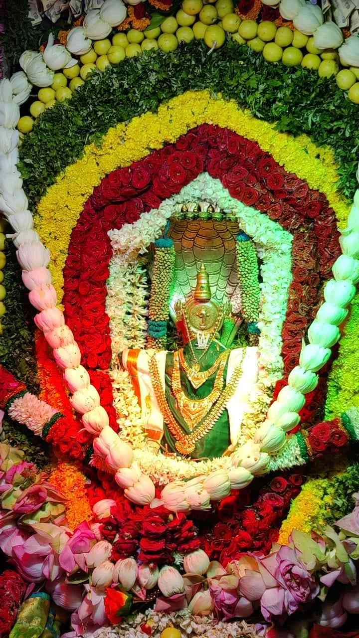 Arulmigu Narayanasamy Temple, Village North Side, Adayarkarungkulam - 627425 அருள்மிகு நாராயண சுவாமி திருக்கோயில், Adayarkarungkulam - 627425, Tirunelveli - Ancient Temple Architecture and History Image 6