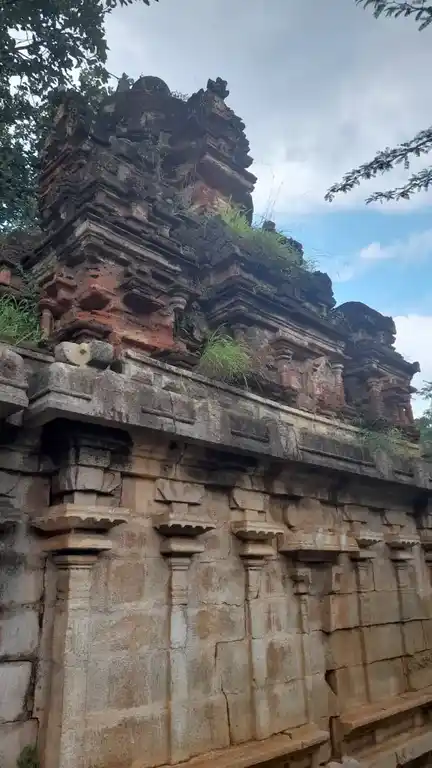 Arulmigu Narayanaswamy Temple, Marugalkurichi - 627108 அருள்மிகு நாராயணசுவாமி திருக்கோயில், Marugalkurichi - 627108, Tirunelveli - Ancient Temple Architecture and History Image 2