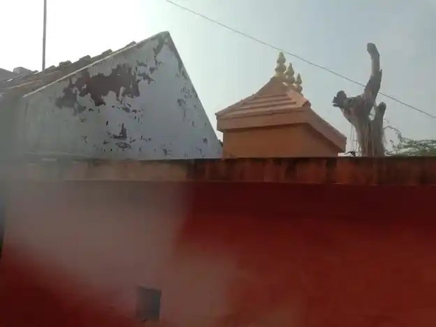 Arulmigu Narayanaswamy Temple, Marugalkurichi - 627108 அருள்மிகு நாராயணசுவாமி திருக்கோயில், Marugalkurichi - 627108, Tirunelveli - Ancient Temple Architecture and History Image 4