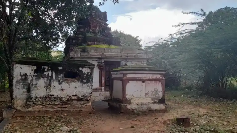 Arulmigu Narayanaswamy Temple, Marugalkurichi - 627108 அருள்மிகு நாராயணசுவாமி திருக்கோயில், Marugalkurichi - 627108, Tirunelveli - Ancient Temple Architecture and History Image 10