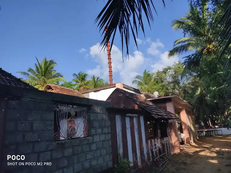 Arulmigu Narayanaswamy Temple, South Thamaraikulam - 629707 அருள்மிகு நாராயணசாமி திருக்கோயில், South Thamaraikulam - 629707, Kanyakumari - Ancient Temple Architecture and History Image 2