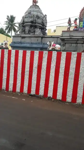 Arulmigu Narthana Vinayakar Temple, Chidambaram - 608001 அருள்மிகு நர்த்தனவிநாயகர் திருக்கோயில், Chidambaram - 608001, Cuddalore - Ancient Temple Architecture and History Image 4