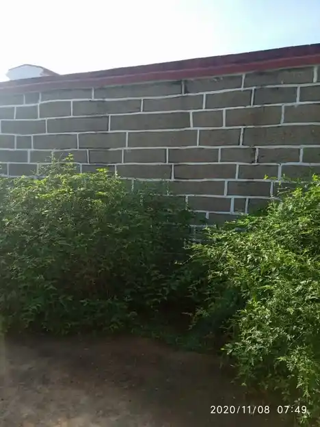 Arulmigu Narum Poonatha Swamy Temple, Pazhvoor - 627121 அருள்மிகு நாறும்பூநாதசுவாமி திருக்கோயில், Pazhvoor - 627121, Tirunelveli - Ancient Temple Architecture and History Image 3