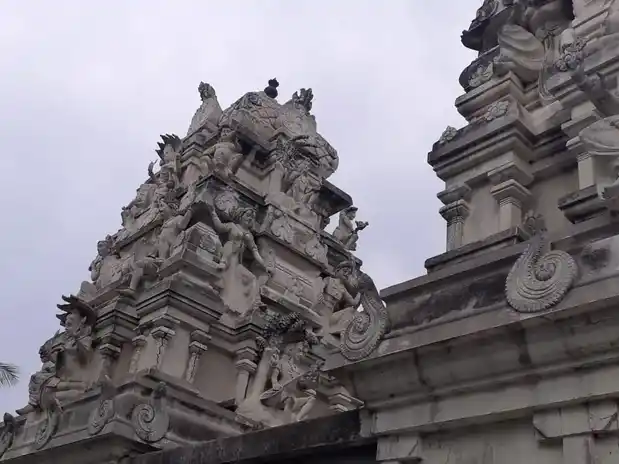 Arulmigu Natarayasamy Temple, Vadakattupalayam - 638301 Temple