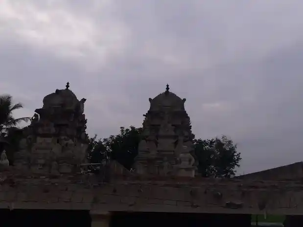 Arulmigu Natarayasamy Temple, Vadakattupalayam - 638301 அருள்மிகு நாட்ராயசுவாமி திருக்கோயில், Vadakattupalayam - 638301, Erode - Ancient Temple Architecture and History Image 4